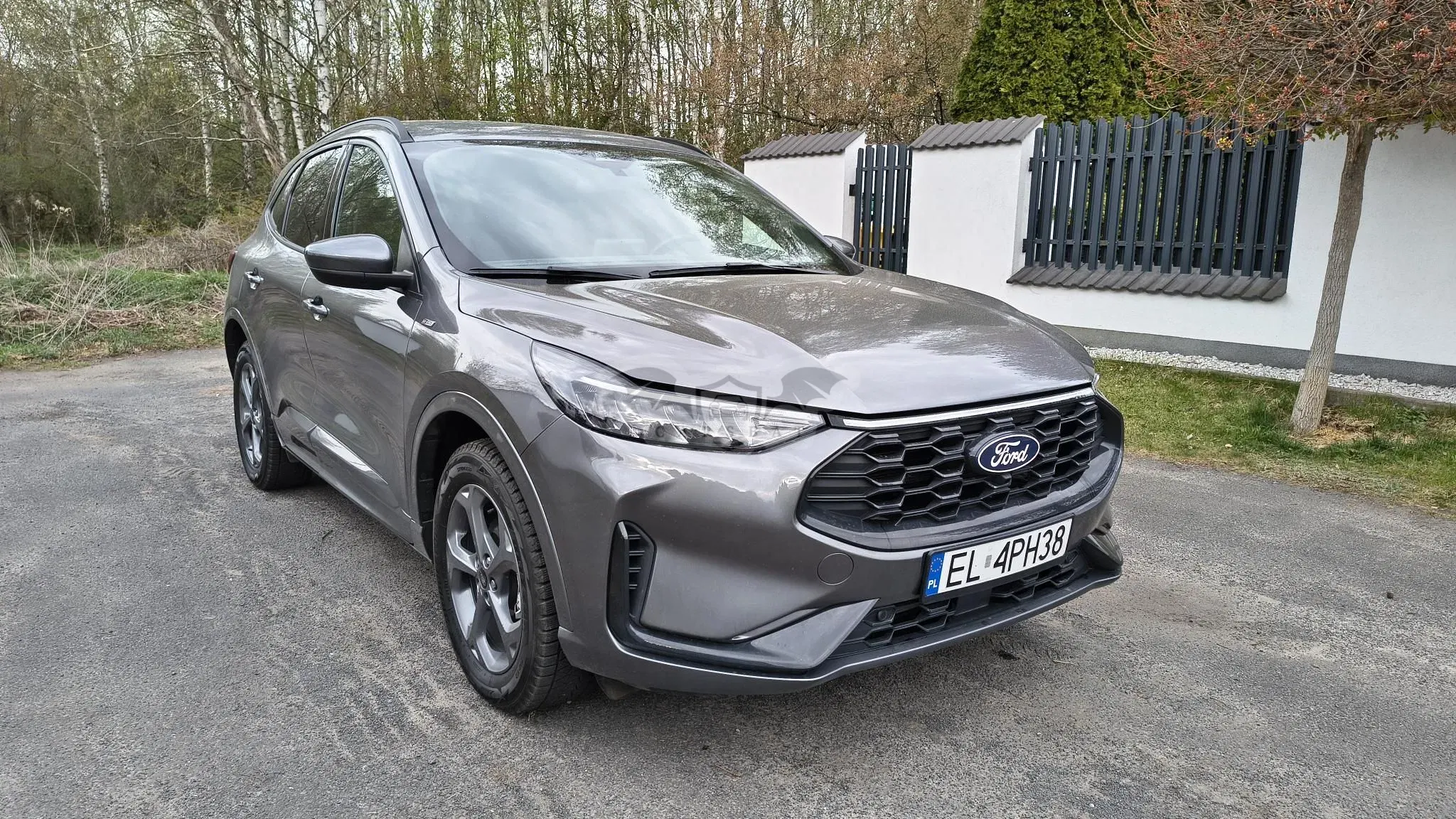 Ford Kuga III (2019 - ) 2.0 EcoBoost AWD ST-Line ASS 2023