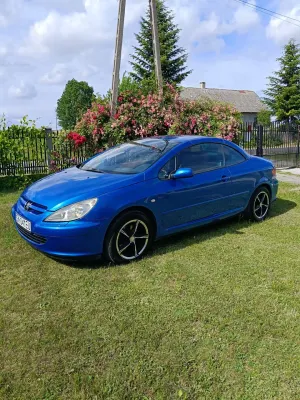 Peugeot 307 2.0 2004
