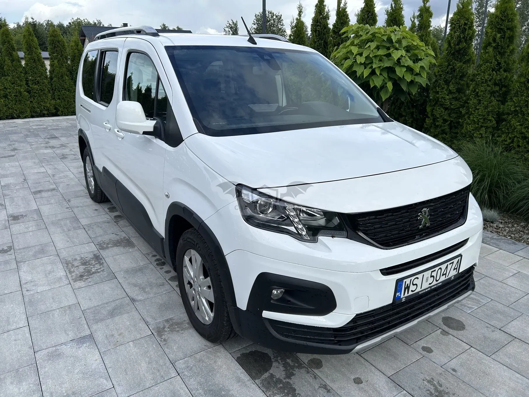 Peugeot Rifter Long 1.5 BlueHDI Active Pack S&S 2019