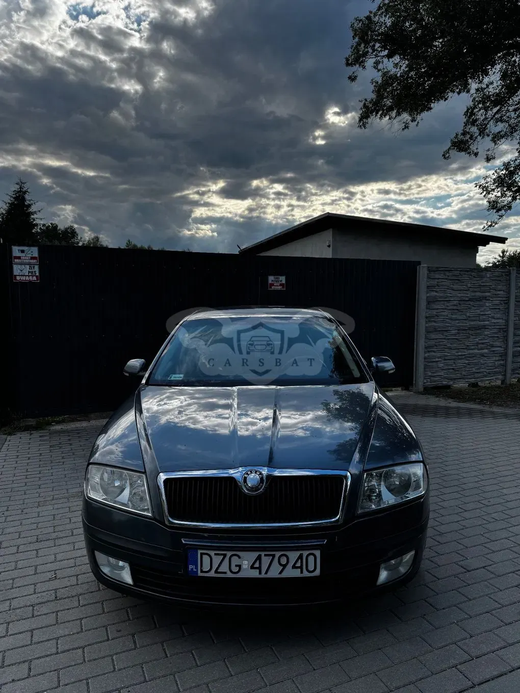 Skoda Octavia II (2004-2013) 2.0 TDI Ambiente 2004