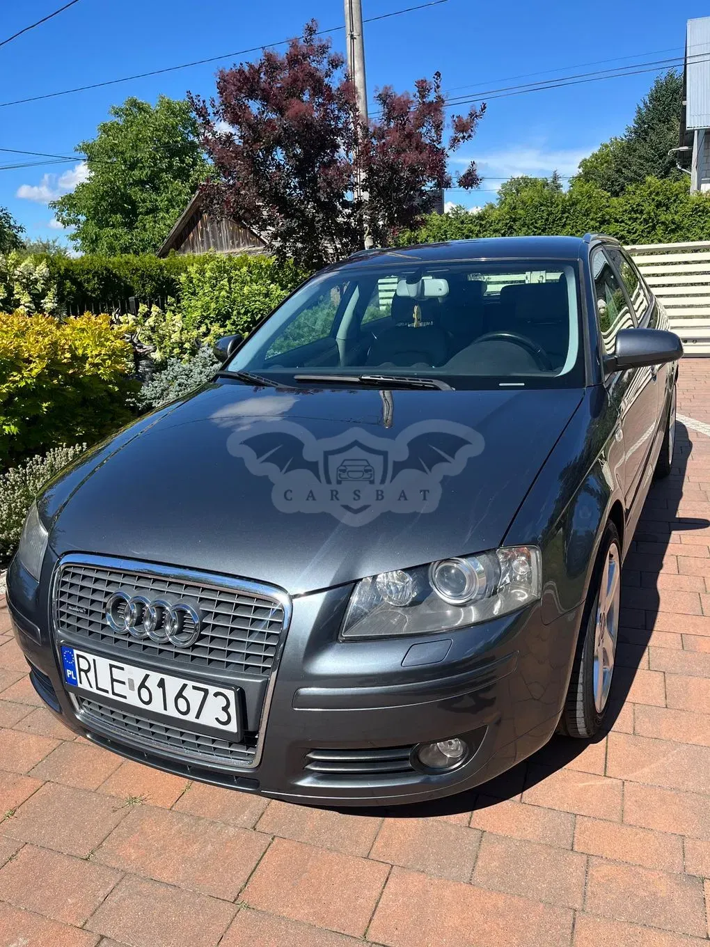Audi A3 8P (2003-2012) 2007