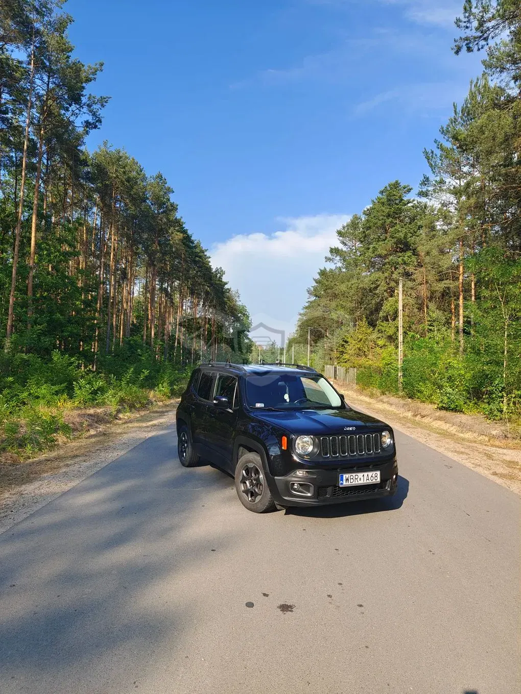Jeep Renegade 1.6 MultiJet Limited FWD S&S 2016
