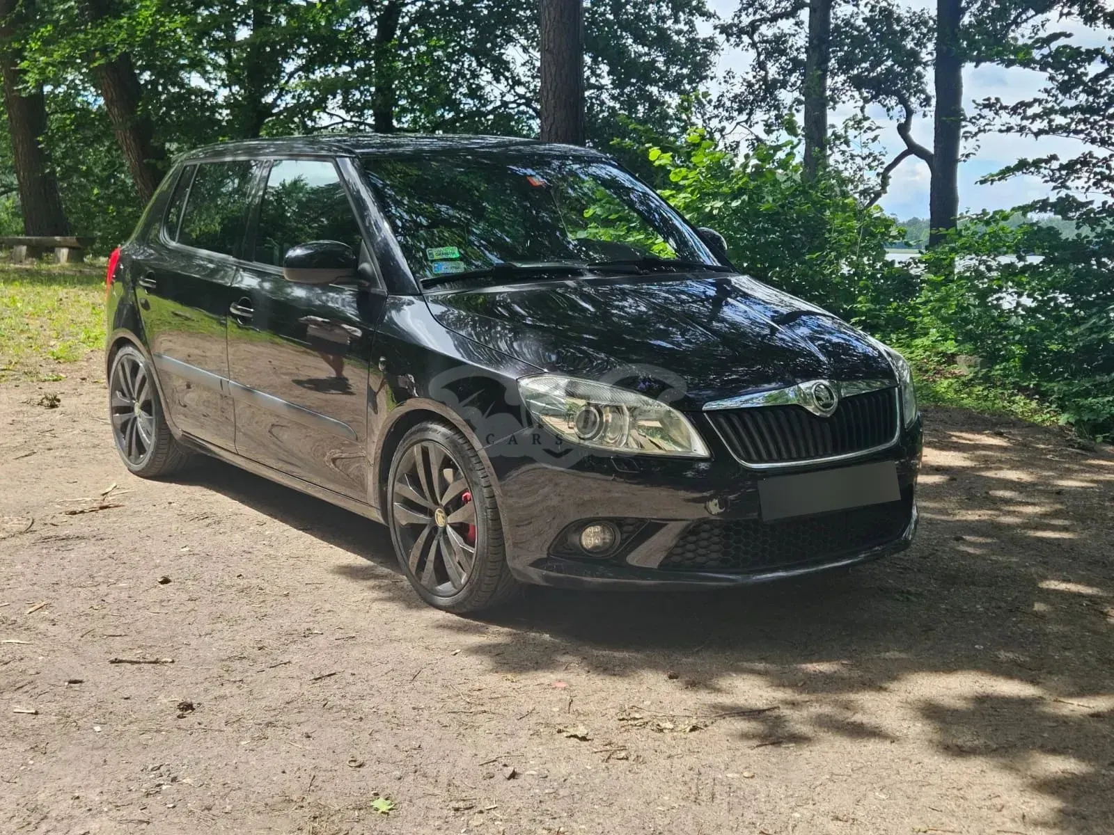 Skoda Fabia II (2007-2014) RS 2010