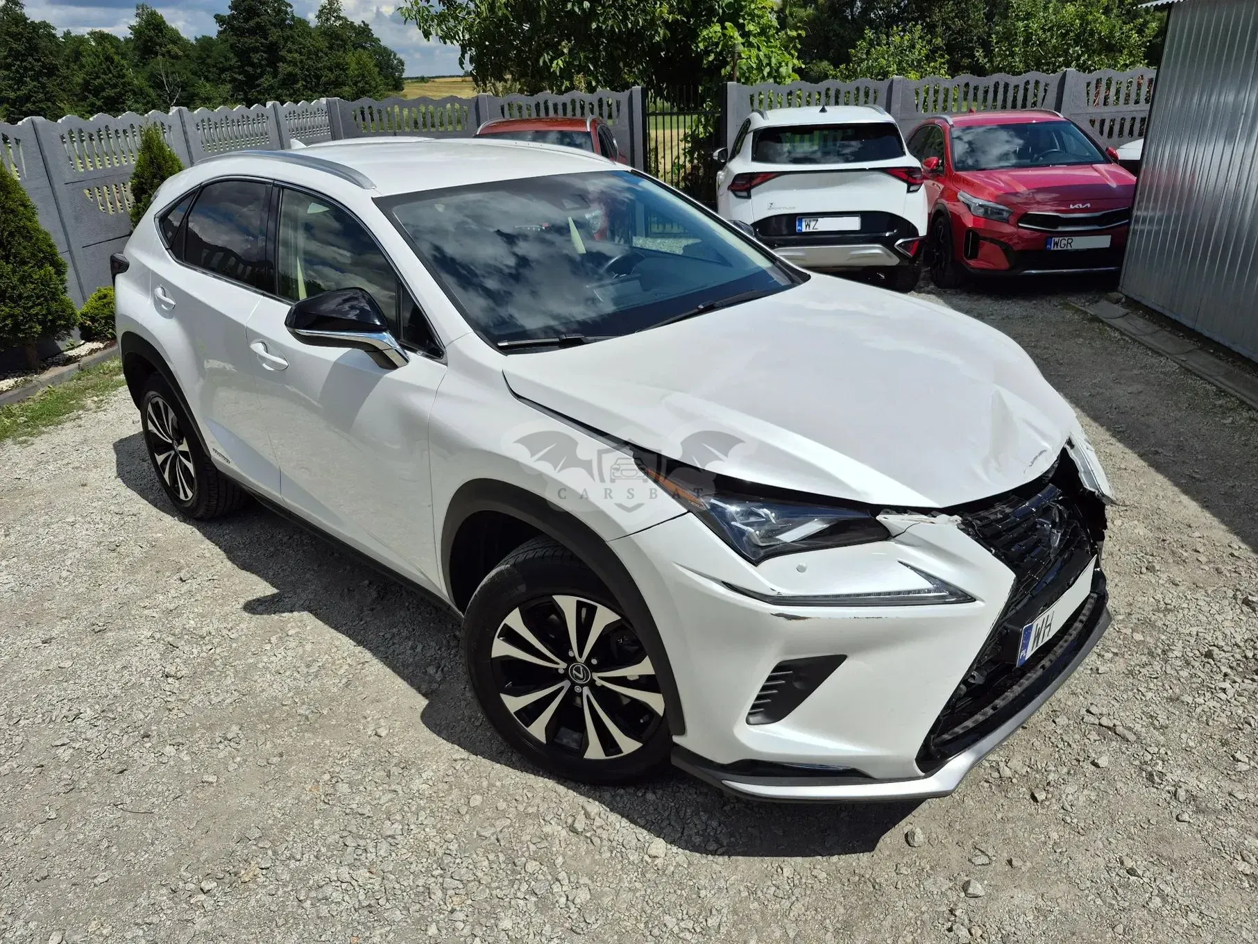 Lexus NX I (2014-2021) 300h F Impression AWD 2021