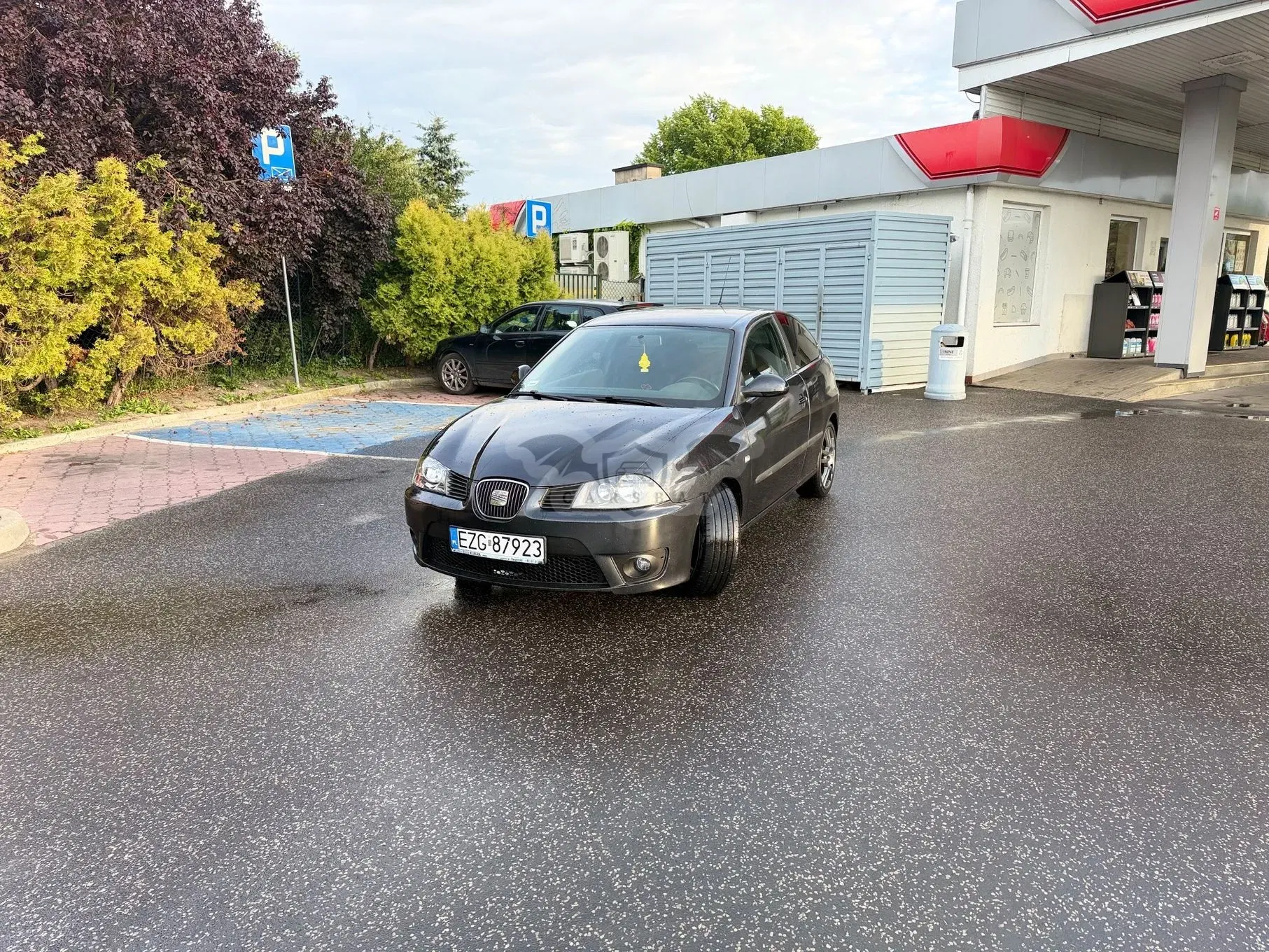 Seat Ibiza III (2002-2008) 1.8 20V T Cupra 2007