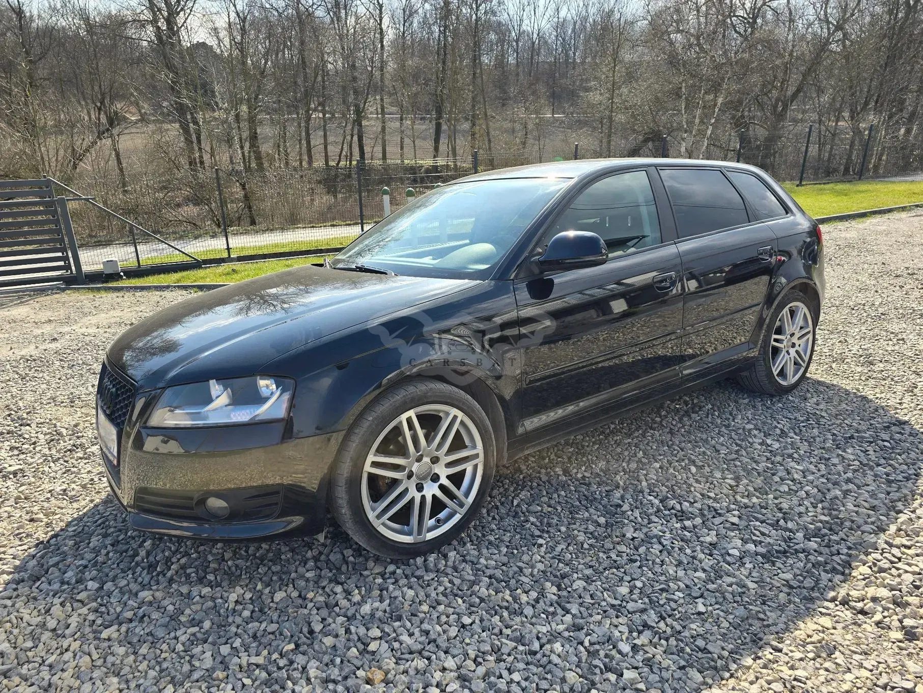 Audi A3 8P (2003-2012) 1.6 Ambition 2009