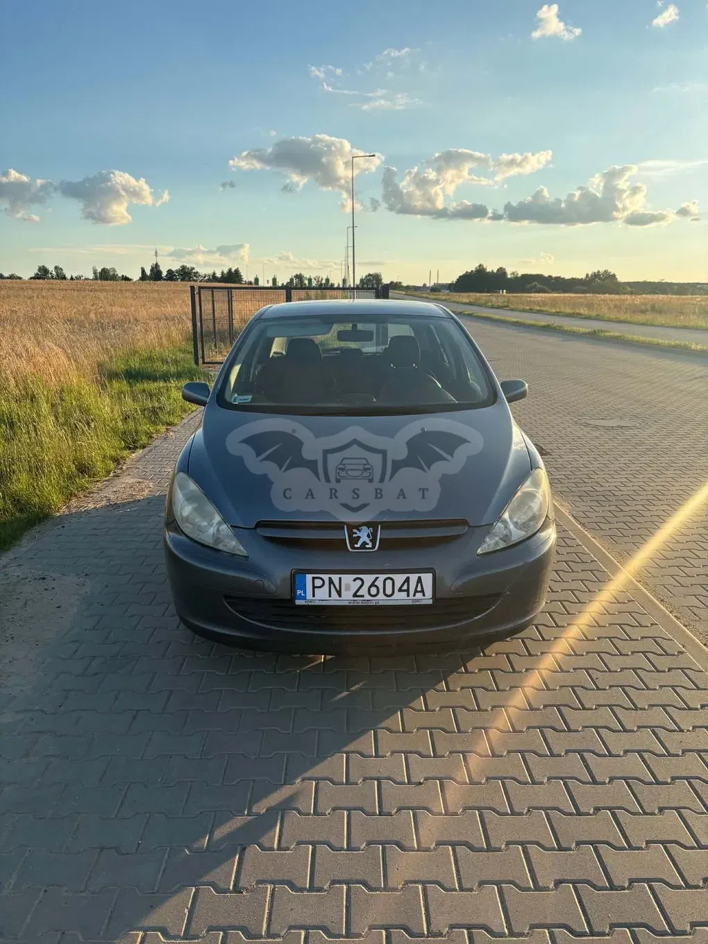 Peugeot 307 I (2001-2005) 1.6 2005
