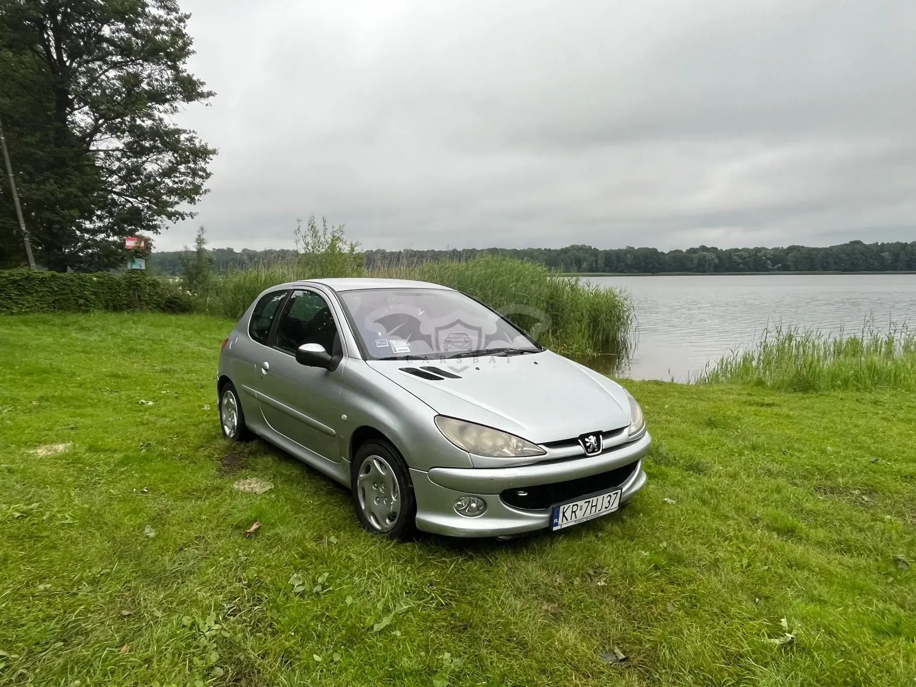 Peugeot 206 2.0 HDI Mistral 2003