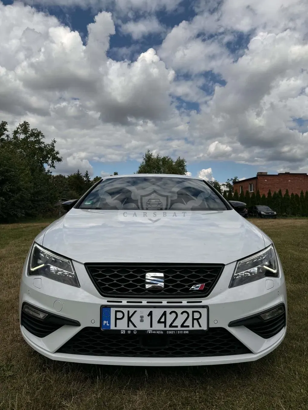 Seat Leon III (2012-) 2.0 TSI Start&Stop Cupra 300 2017