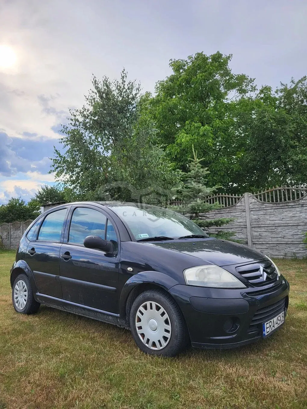 Citroën C3 I (2002-2009) 2007