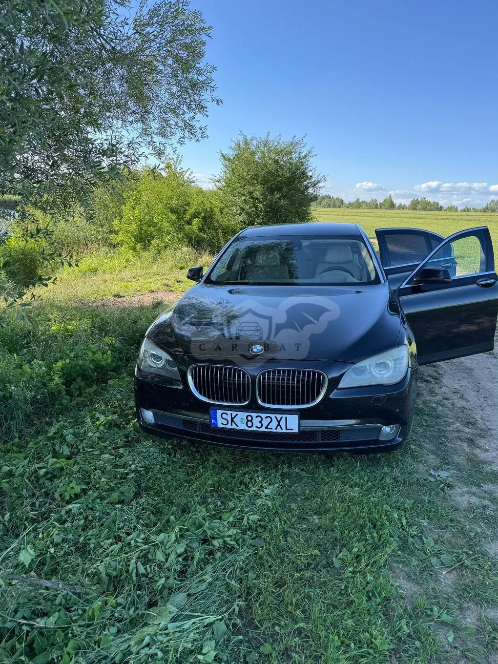 BMW 7 Series F01 (2008-2015) 750i L xDrive 2010