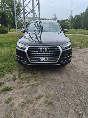 Audi Q7 II (2015-) 2017