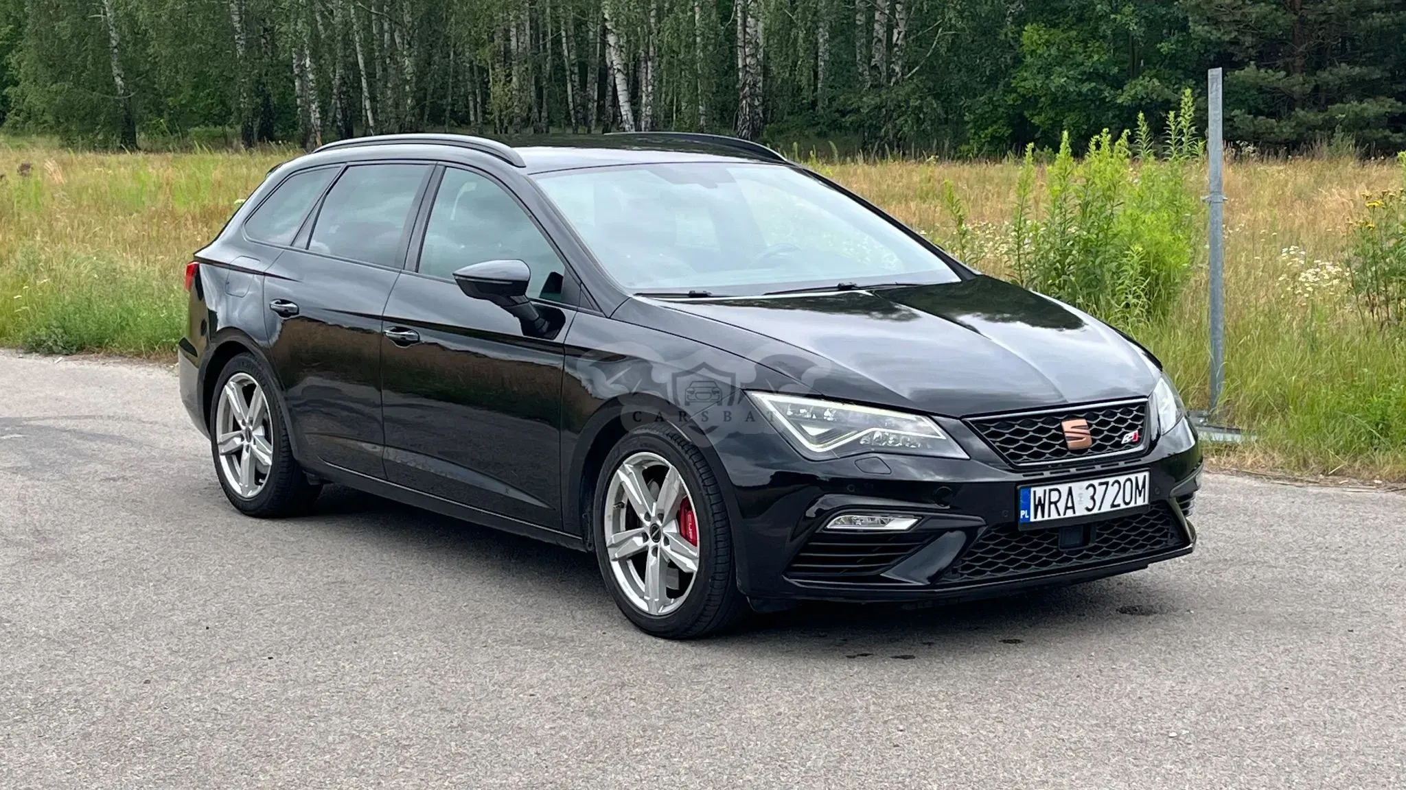Seat Leon III (2012-) 2.0 TSI Cupra S&S DSG 2017