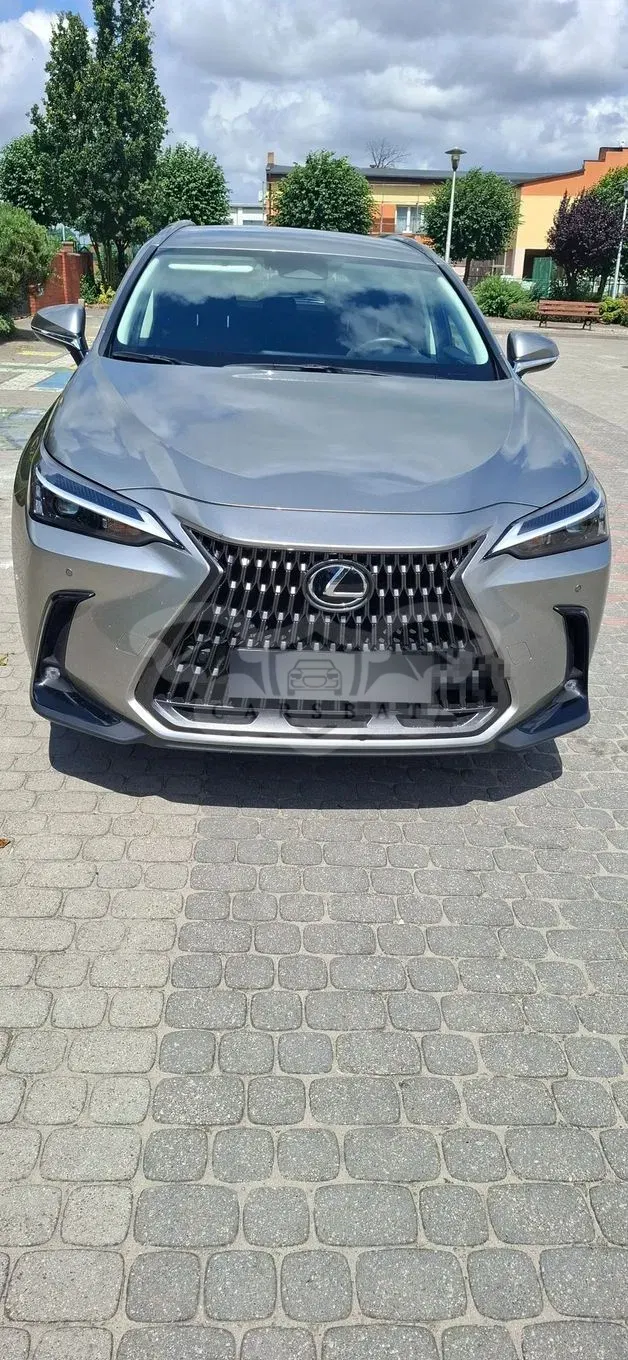 Lexus NX II (2021-) 2022