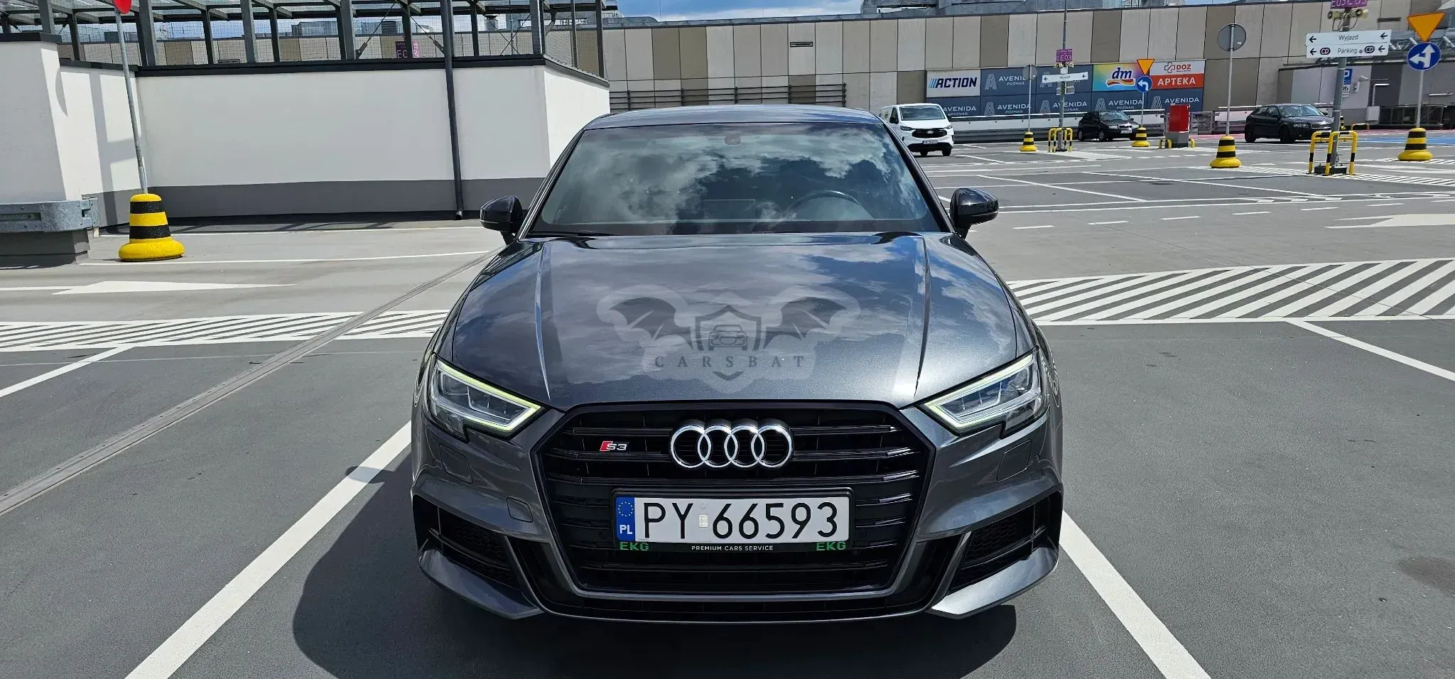 Audi S3 8V (2012-2020) 2016