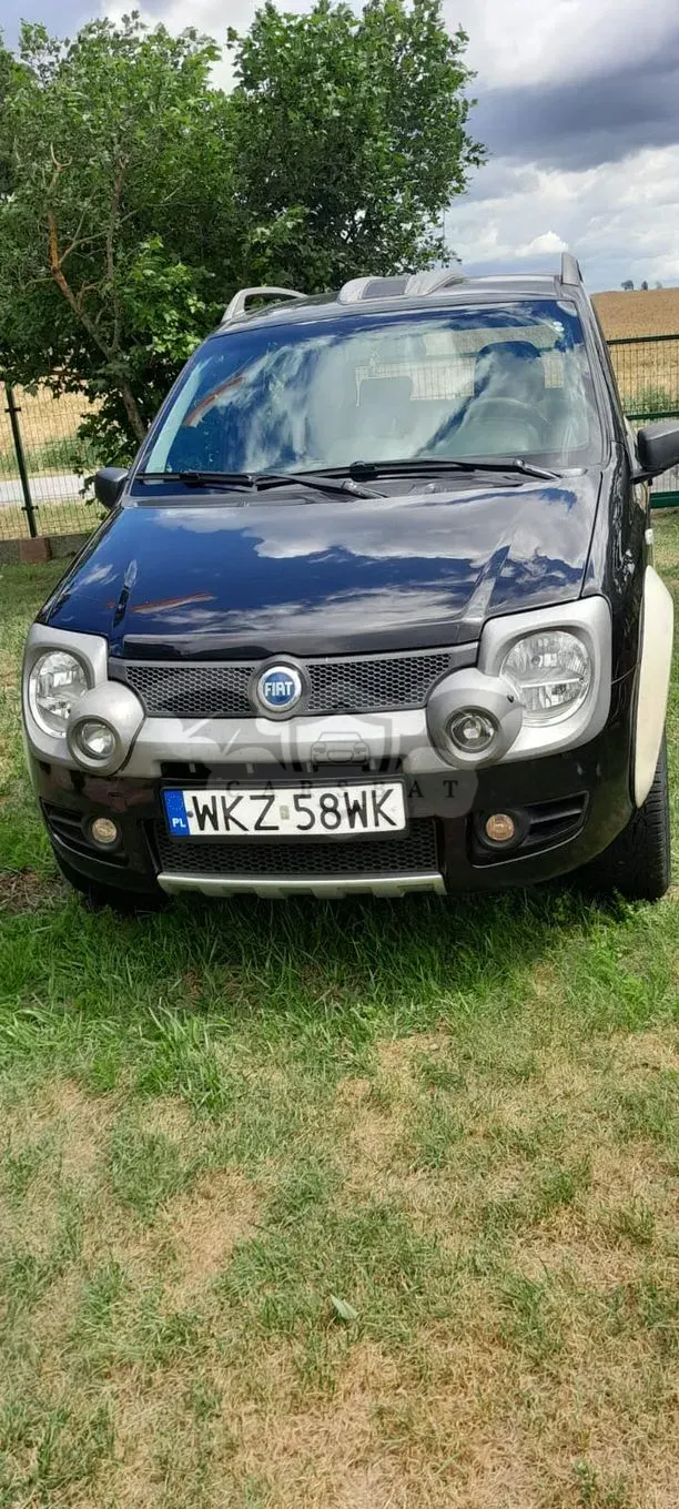Fiat Panda II (2003-2012) 1.3 Multijet Cross 4x4 2006