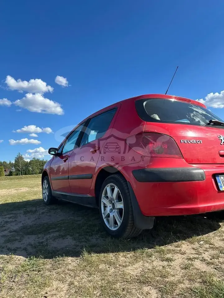 Peugeot 307 I (2001-2005) 1.4 Mistral 2001
