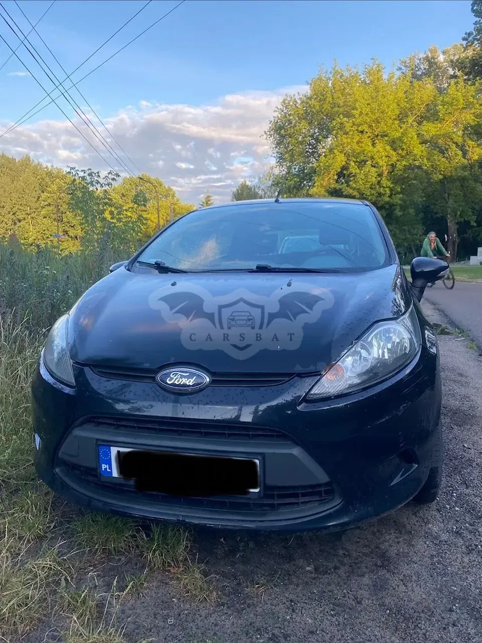 Ford Fiesta Mk7 (2008-) 1.4 TDCi Trend 2011