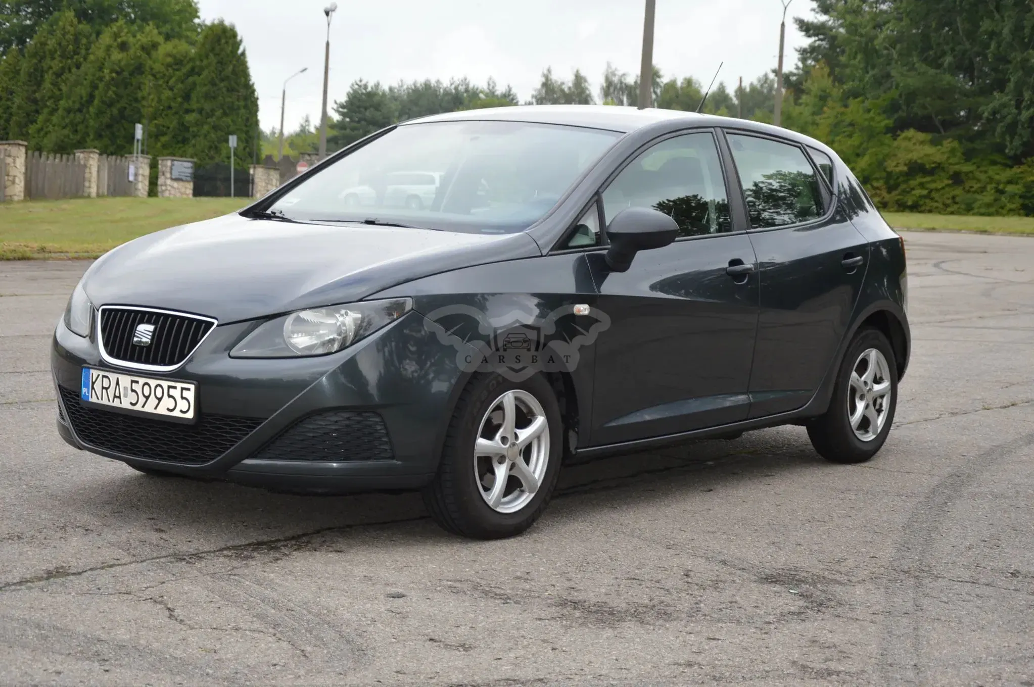Seat Ibiza IV (2008-2017) 2010
