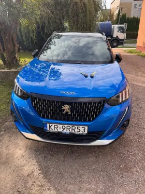 Peugeot 2008 II (2019-) 1.2 PureTech GT Line S&S EAT8 2021
