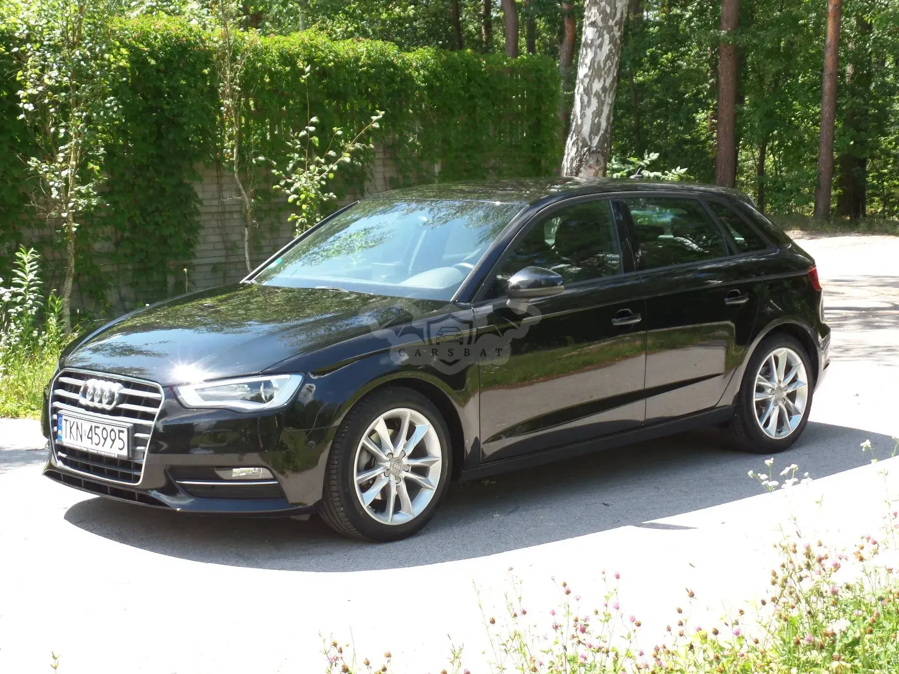Audi A3 8V (2012-) 2.0 TDI Ambiente 2013