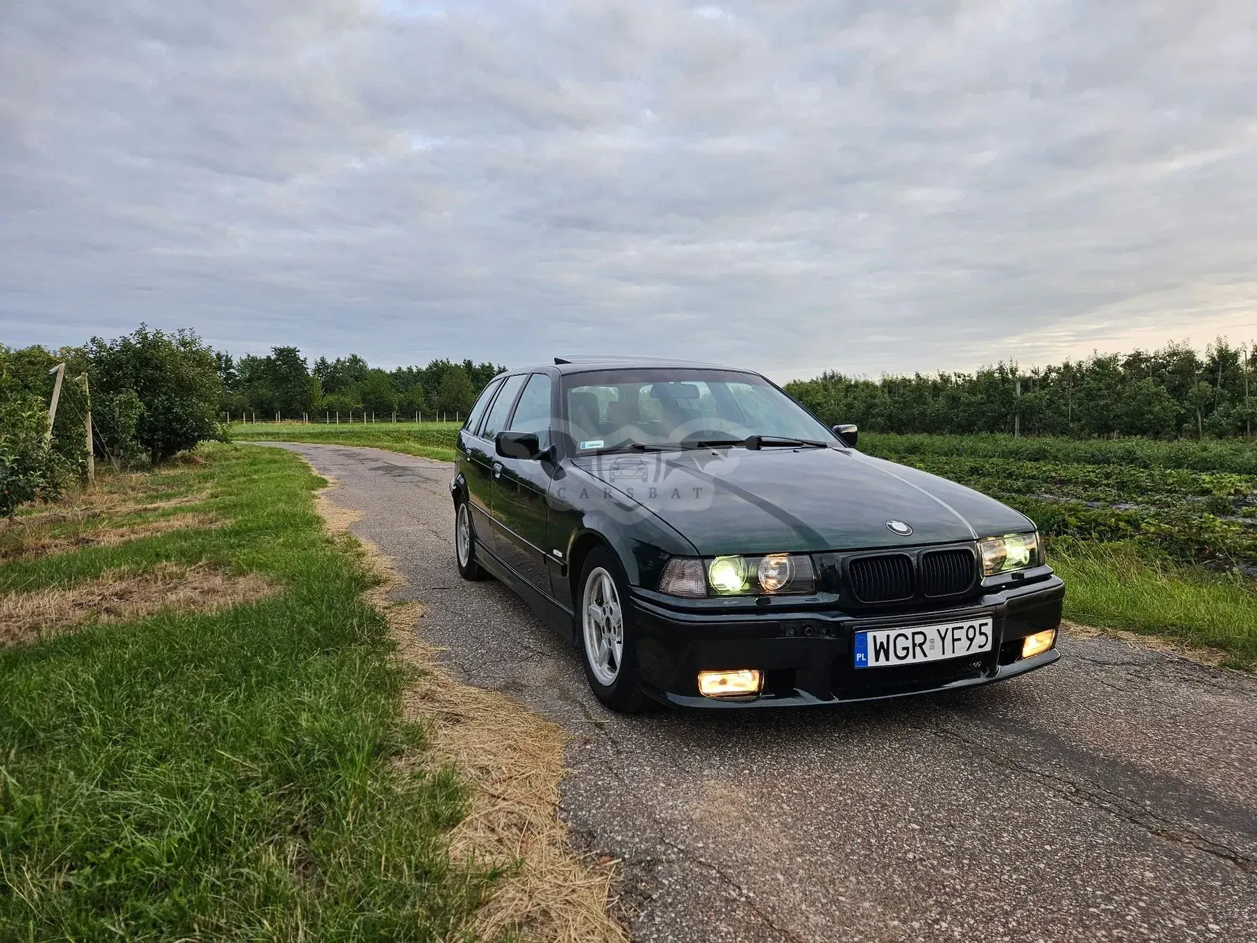 BMW 3 Series E36 (1990-1999) 1998