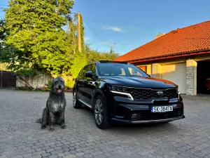 Kia Sorento IV (2020-) 2.2 CRDi L 4WD DCT 7os 2020