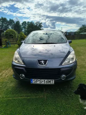 Peugeot 307 II (2005-) 1.4 XR 2005