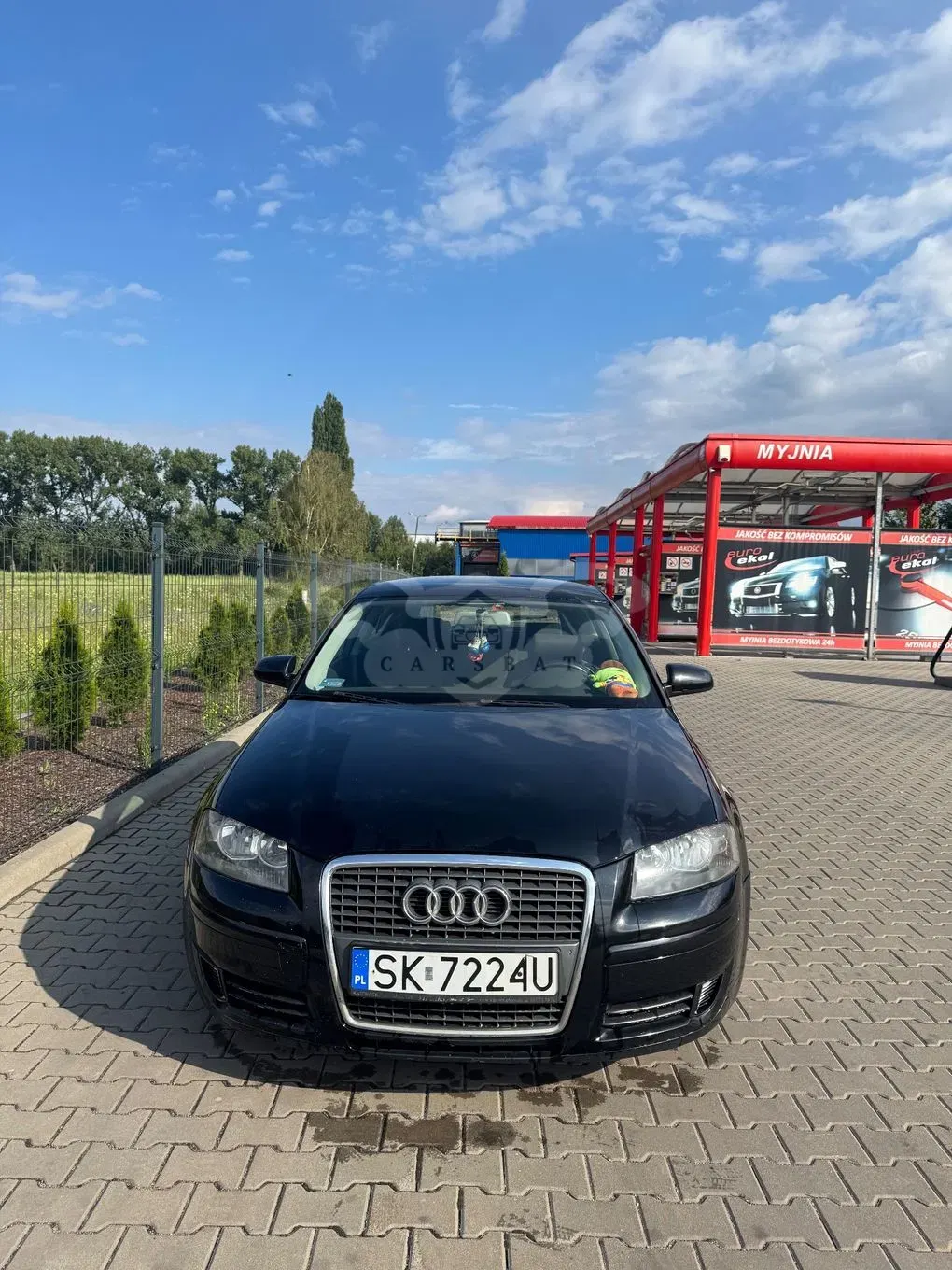 Audi A3 8P (2003-2012) 1.9 TDI DPF Ambition 2007