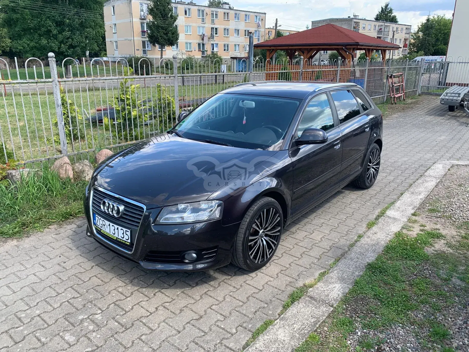 Audi A3 8P (2003-2012) 1.6 TDI DPF Ambition 2009