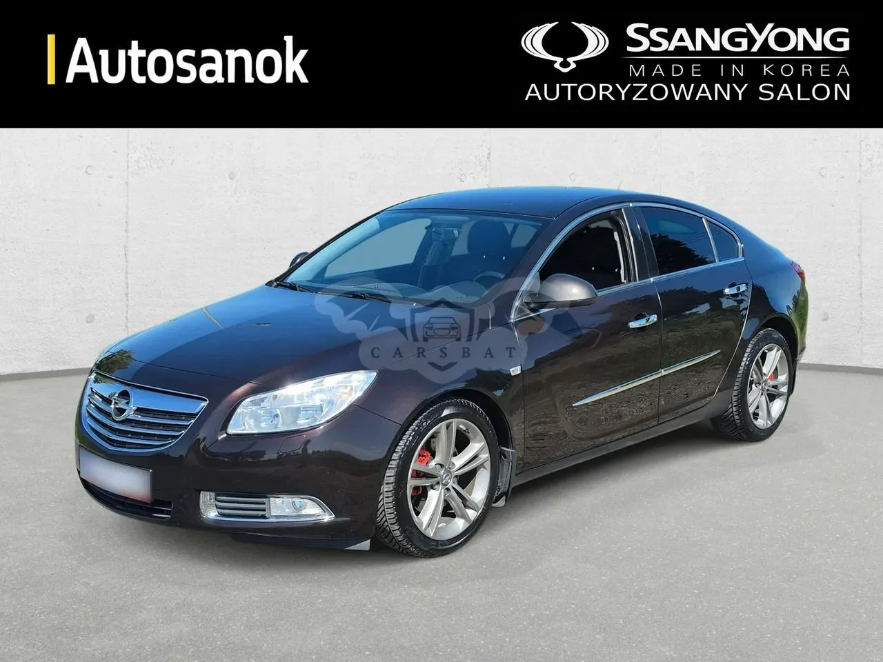 Opel Insignia A (2008-2017) 2011