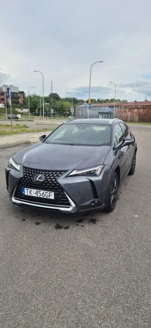 Lexus UX 250h 2023