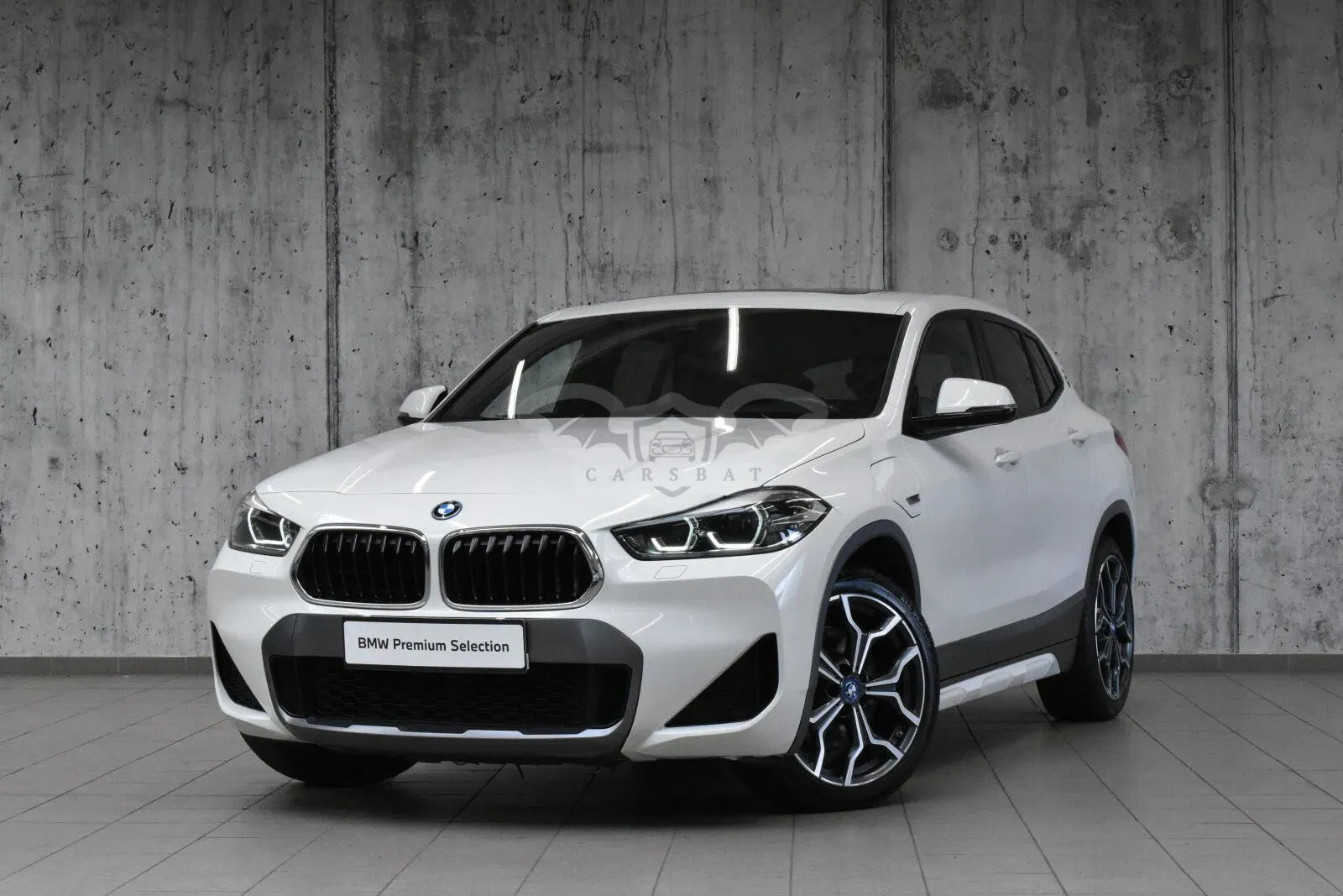 BMW X2 F39 (2017-2023) 2022