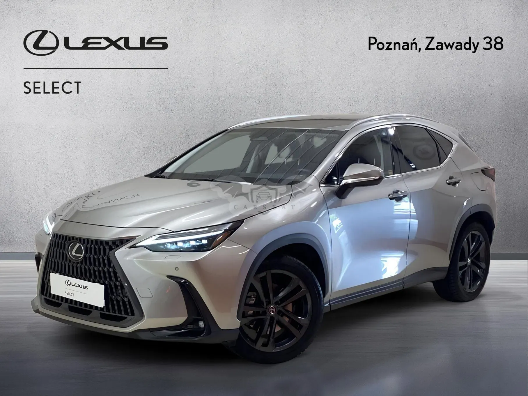 Lexus NX II (2021-) 2025