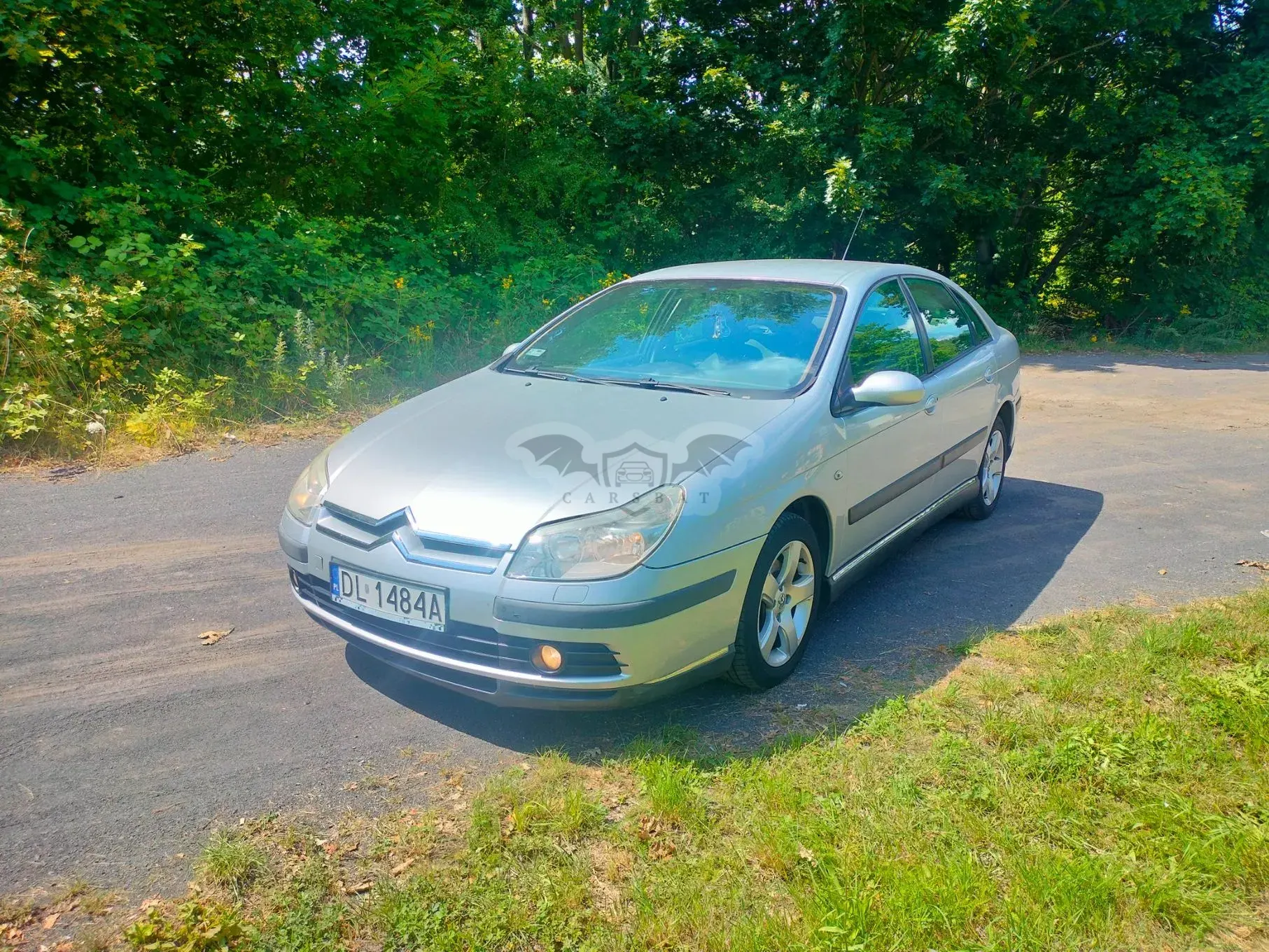 Citroën C5 II (2004-2008) 2005