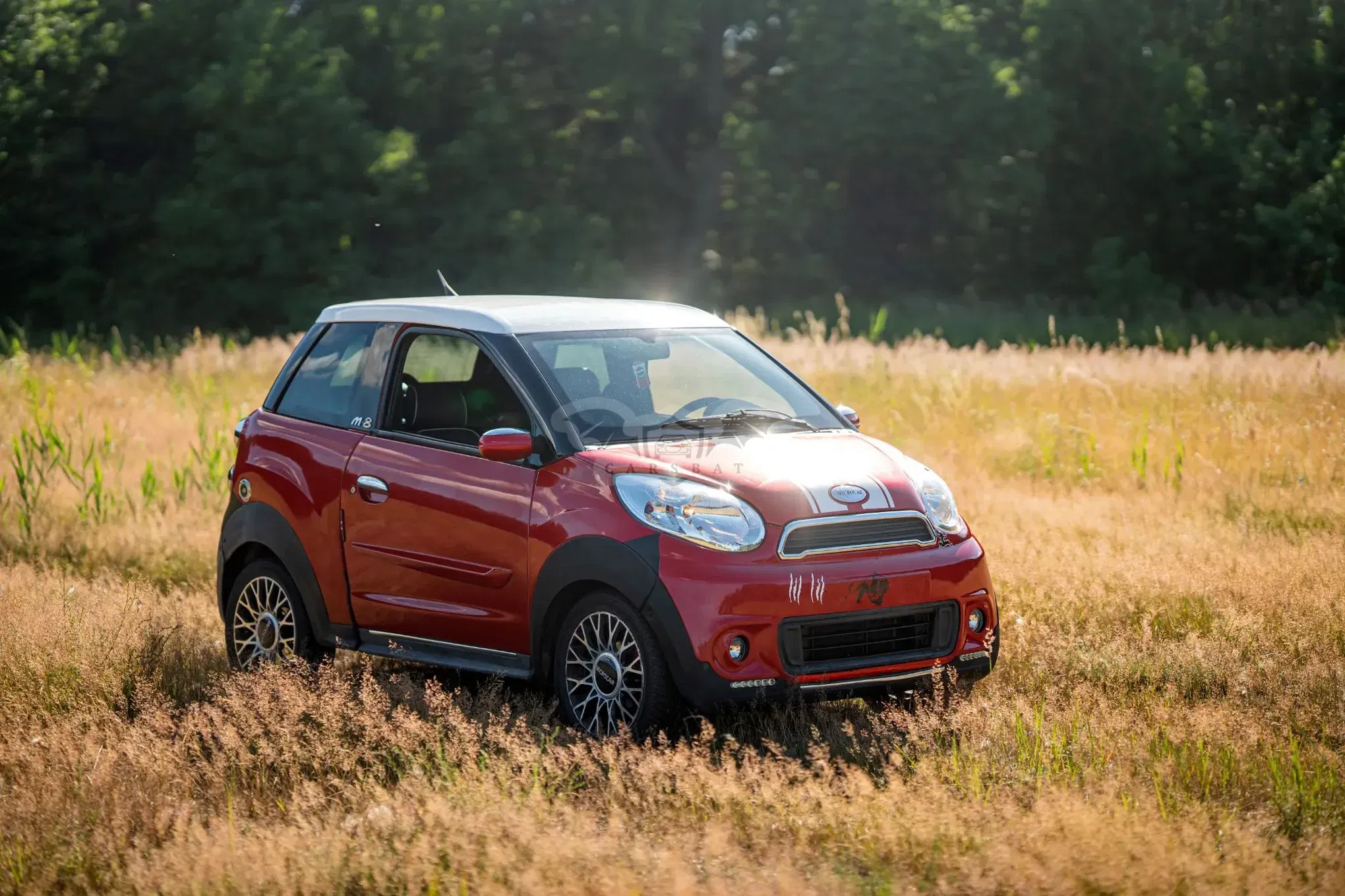 Microcar M.Go 2012
