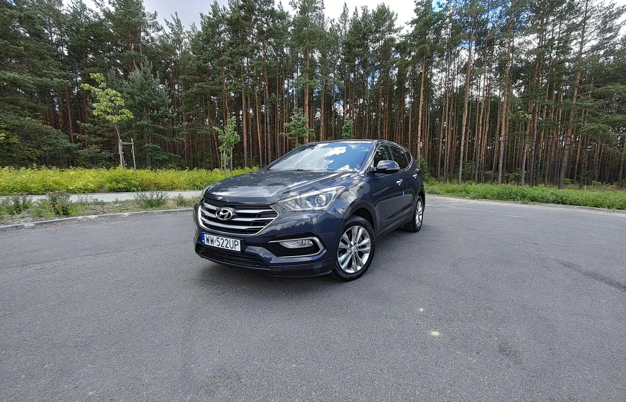 Hyundai Santa Fe III (2012-2018) 2015