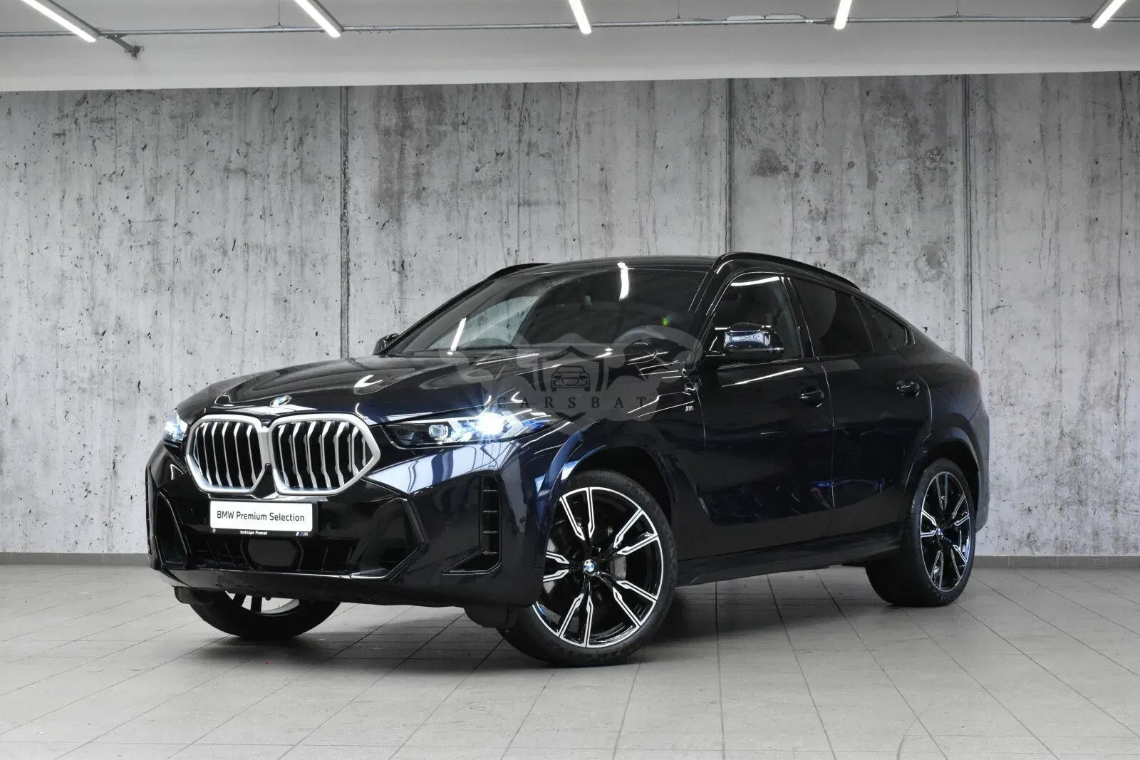 BMW X6 G06 (2019-) xDrive40i mHEV sport 2025