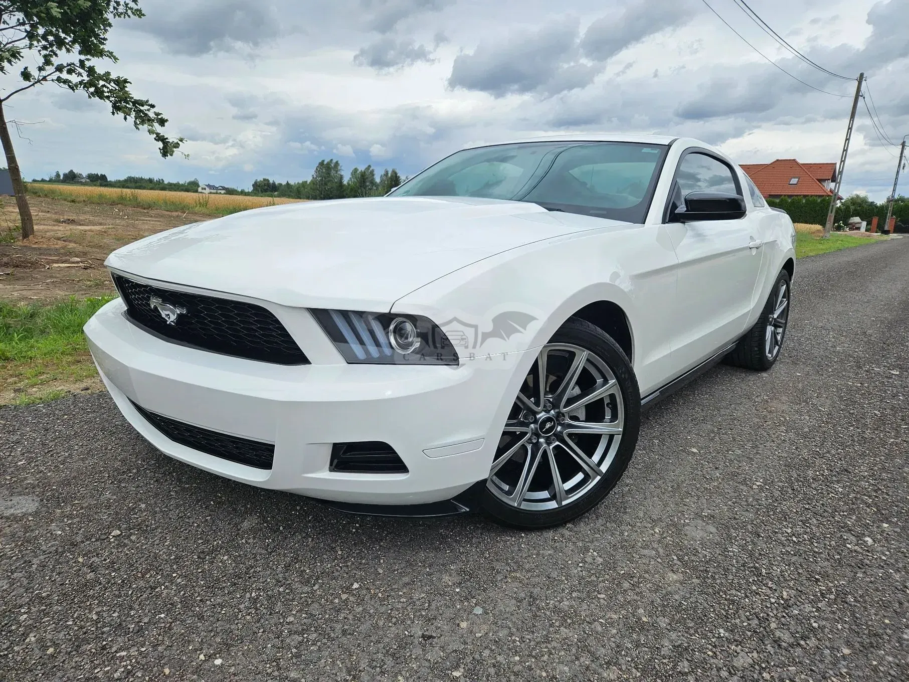 Ford Mustang 2010