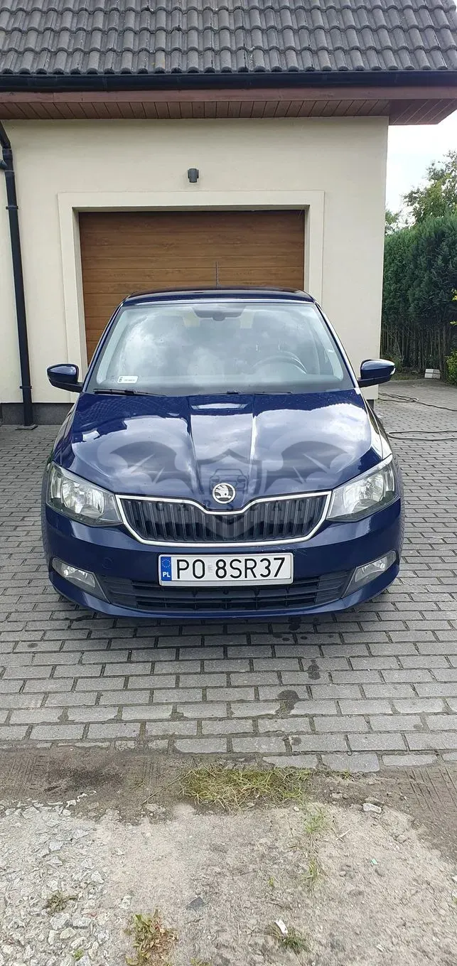 Skoda Fabia III (2014-2021) 2016