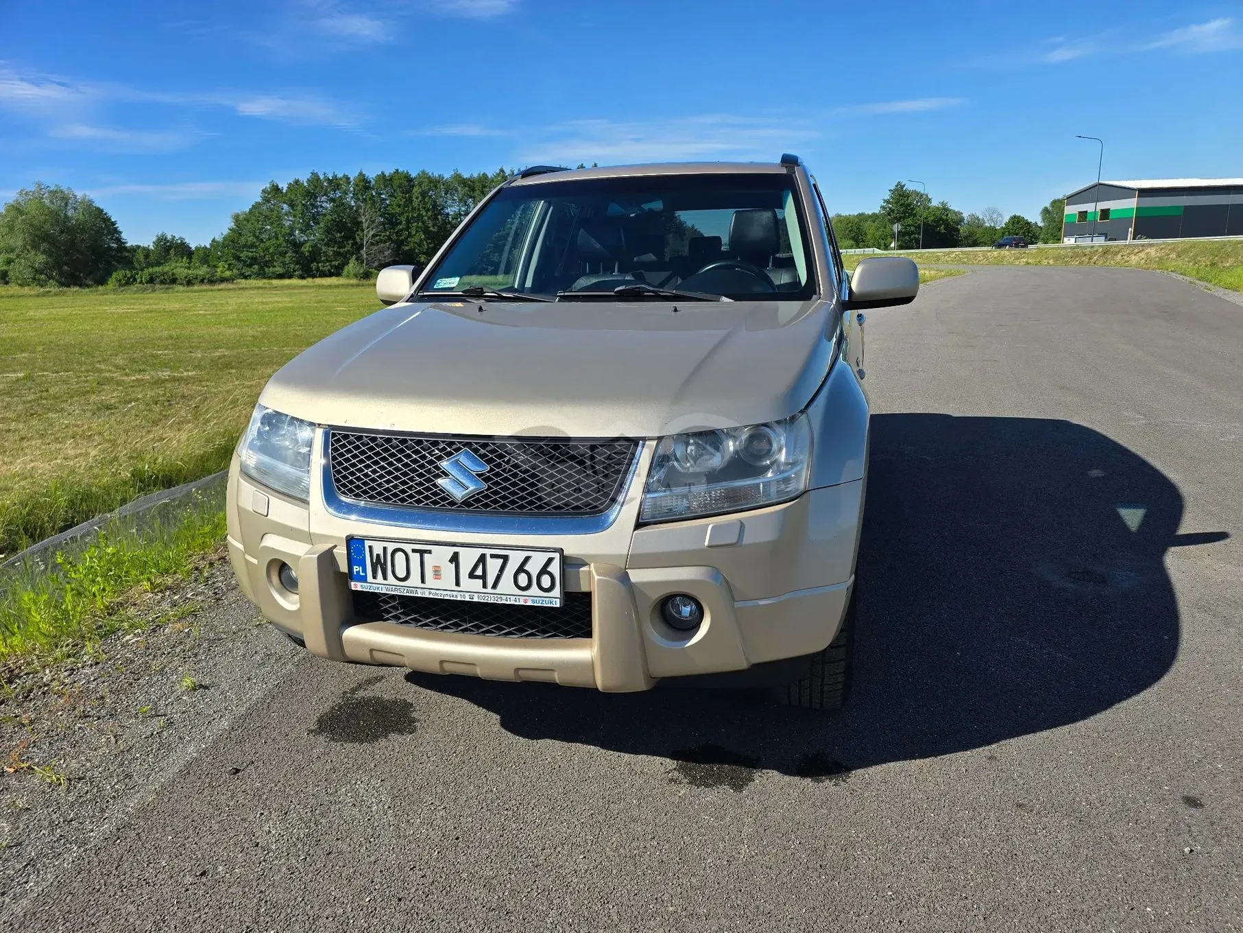 Suzuki Grand Vitara II (2005-2015) 1.9 DDiS De Luxe 2007