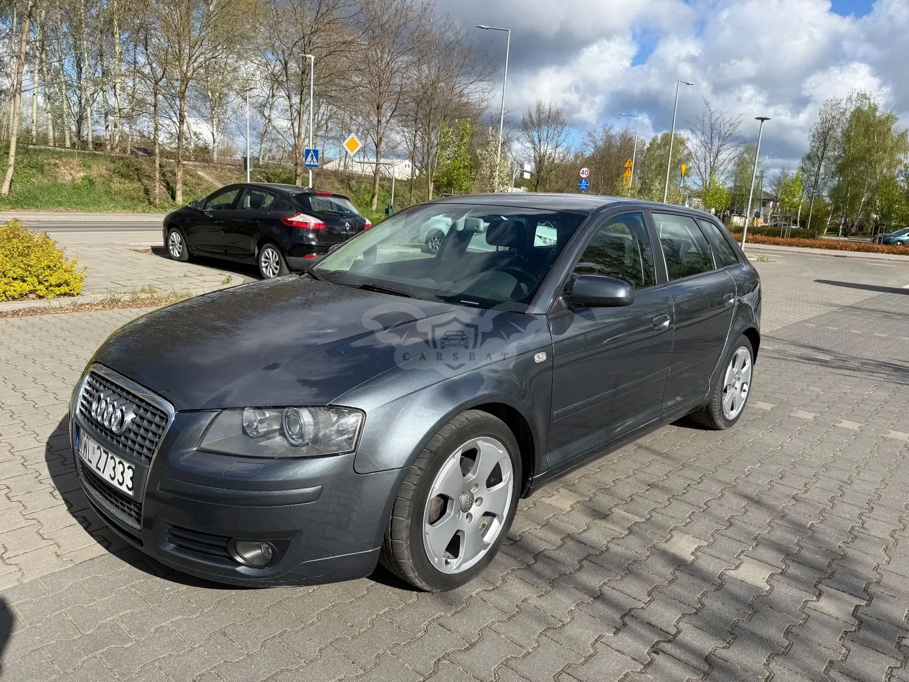 Audi A3 8P (2003-2012) 2.0 TDI DPF Ambition 2006