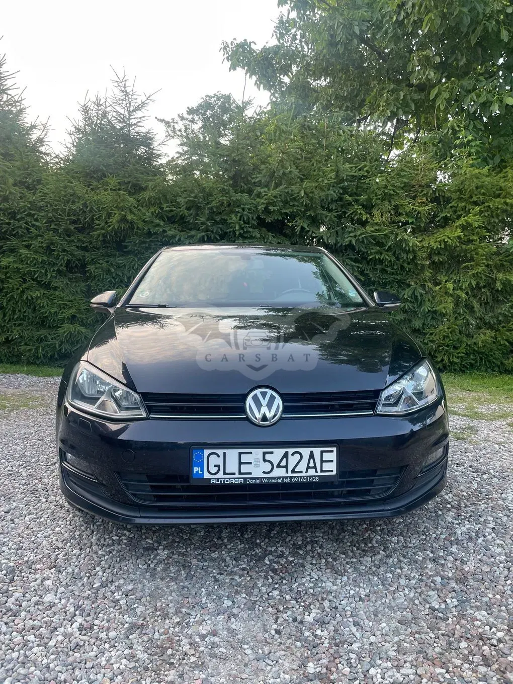 Volkswagen Golf VII (2012-2020) 2013