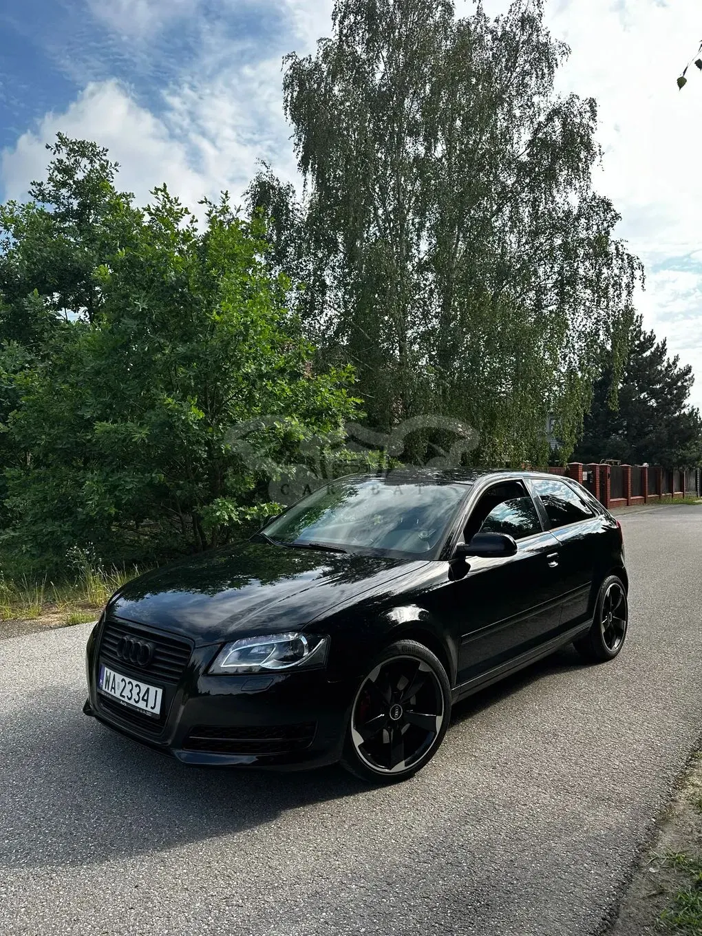 Audi A3 8P (2003-2012) 2011