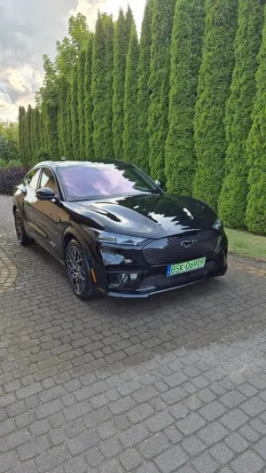Ford Mustang Mach-E AWD GT 2021