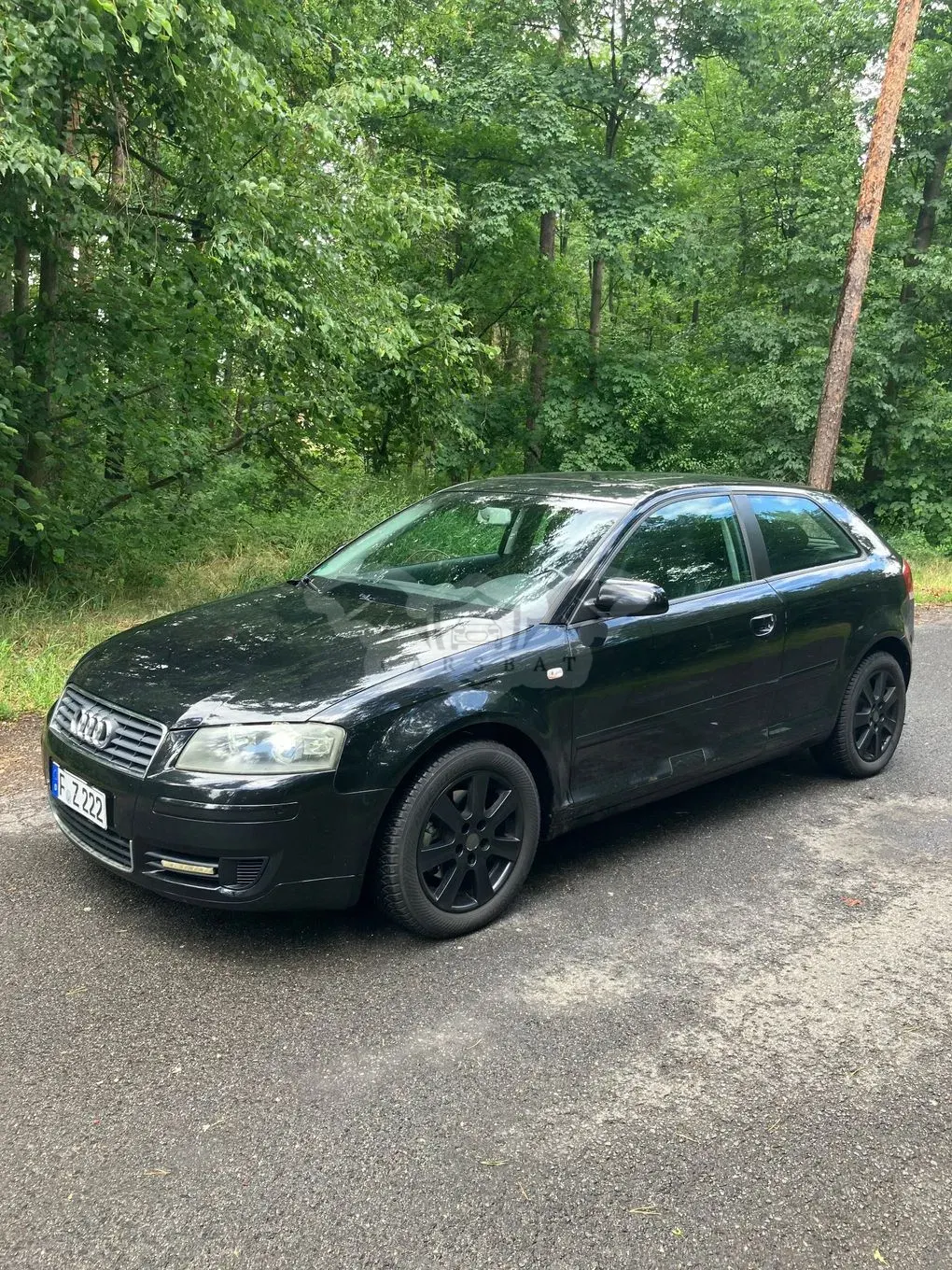 Audi A3 8P (2003-2012) 2.0 TDI Ambiente 2004