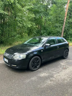 Audi A3 8P (2003-2012) 2.0 TDI Ambiente 2004