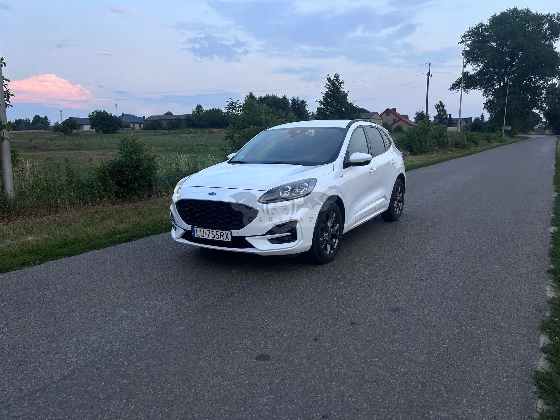 Ford Kuga III (2019 - ) 2.0 EcoBlue mHEV FWD ST-Line X 2020