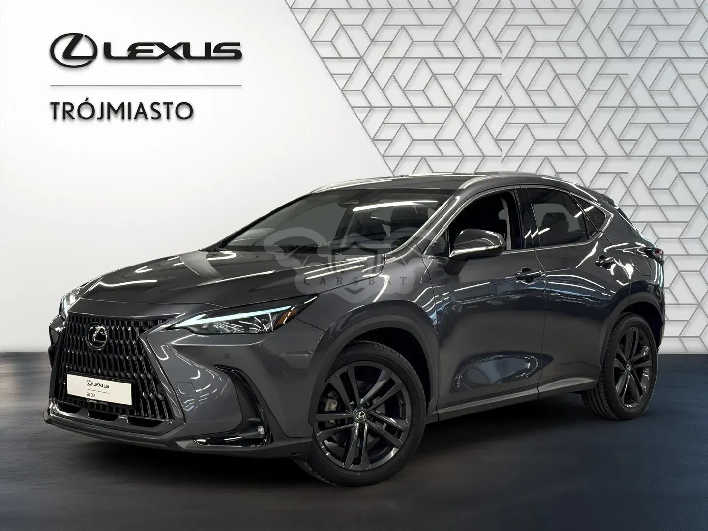 Lexus NX II (2021-) 2025