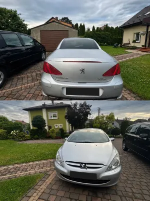 Peugeot 307 I (2001-2005) 2004